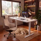Furmax Electric Standing Desk, photo 2